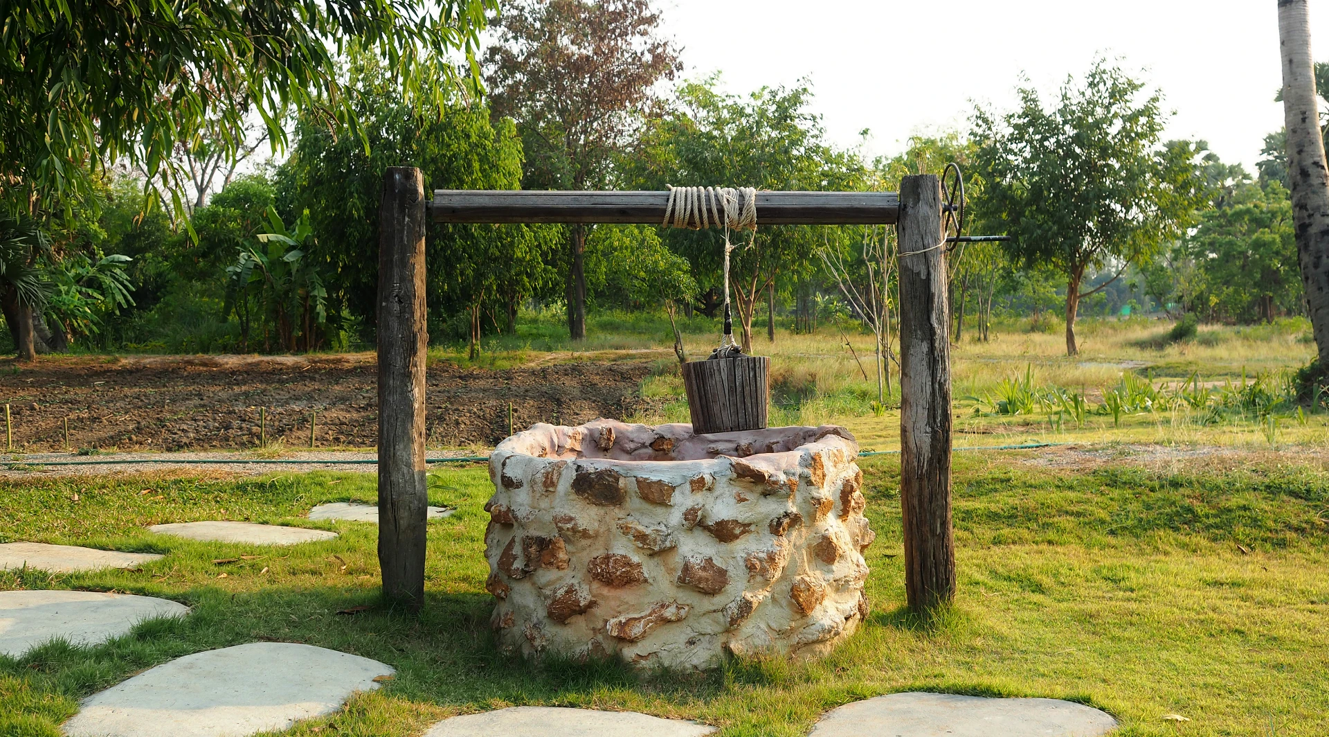 Outdoor well surrounded by greenery